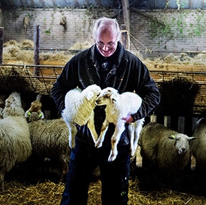 Early newborn Lambs herald Spring